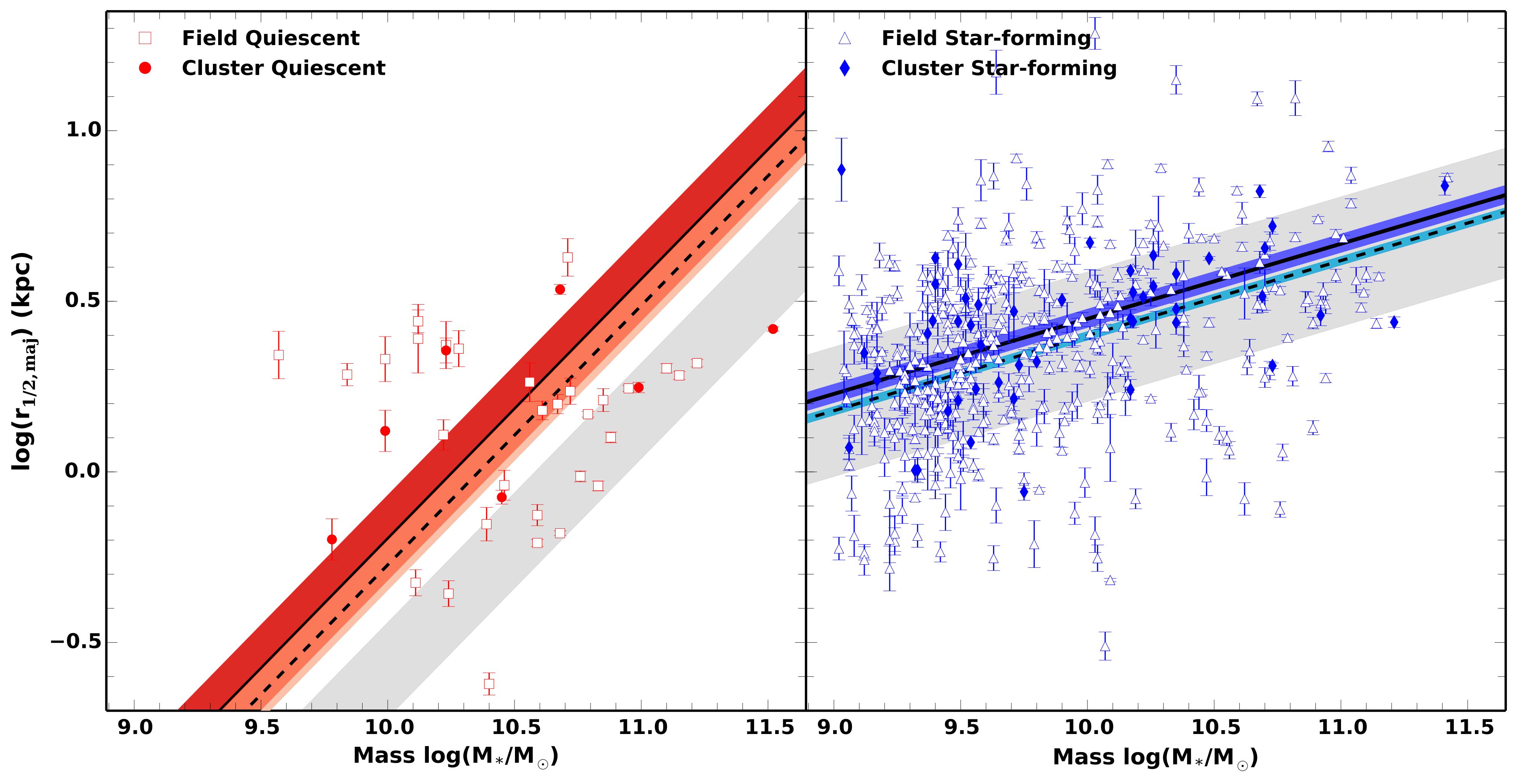 Mass-size relation for our sample of quiescent (left) and star-forming (right) field and cluster galaxies at z = 2.1.