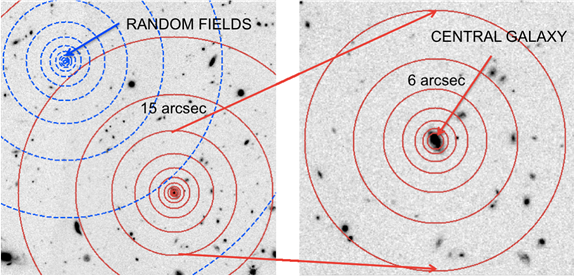 The average projected radial profile of satellites around central galaxies at 1 < z < 3 with stellar masses of M/Msol > 3 x 10^10 and the field in each pointing of ZFOURGE (COSMOS, CDFS, and UDS).