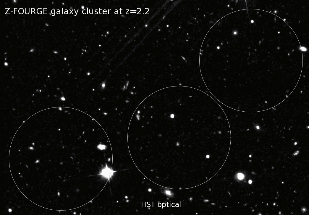 ZFOURGE galaxy cluster at z equals two point two.